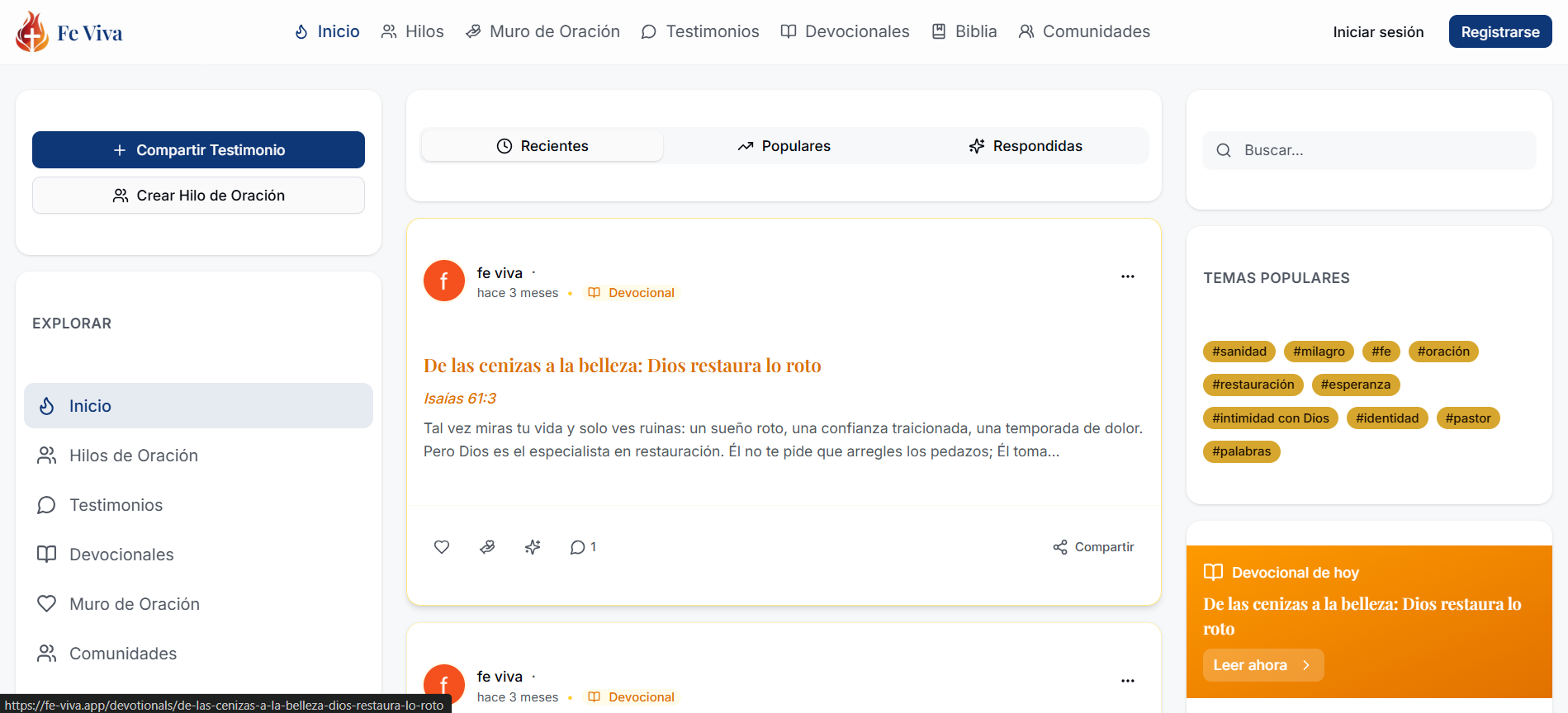 FE VIVA visual 3